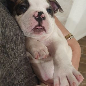 Meet your Posher, Rajpreet